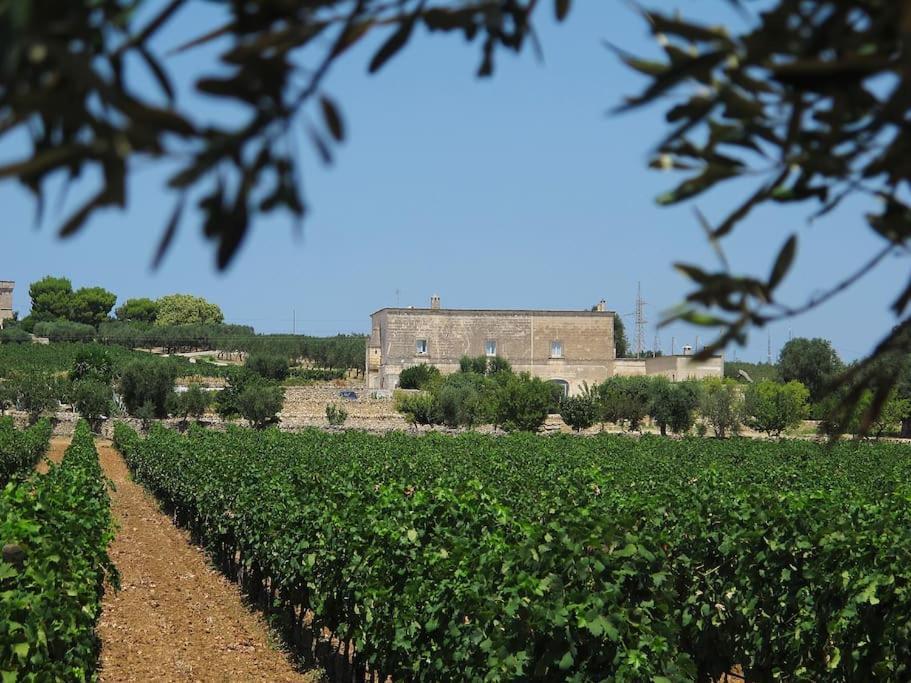 Вілла Masseria Angiulli Piccolo Contrada Angiulli 74023 Grottaglie Villa Castelli Екстер'єр фото